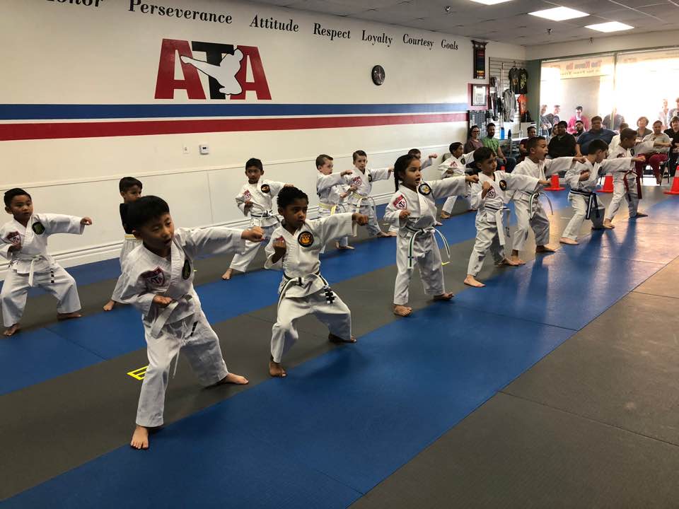 Little Lions training